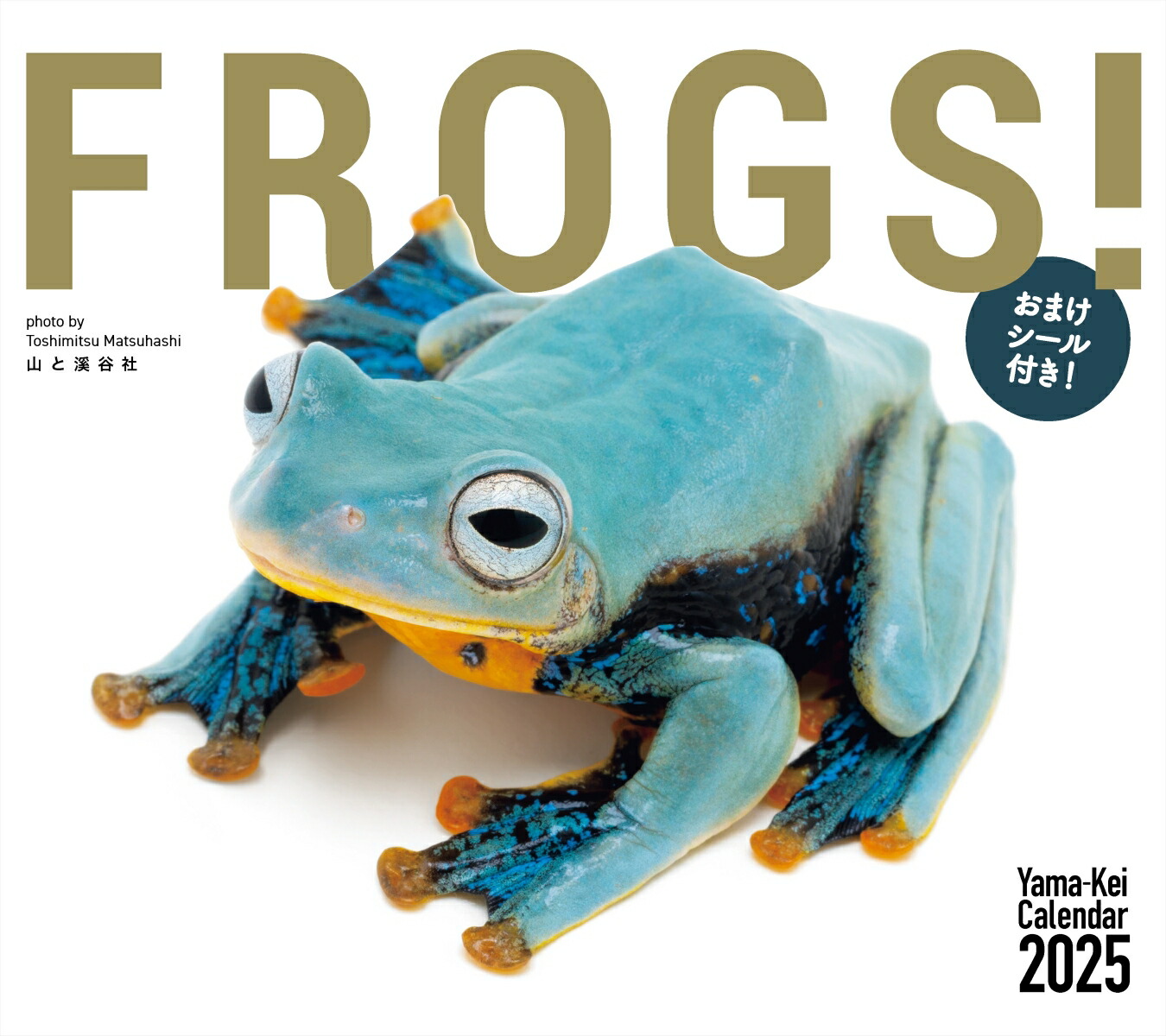 FROGS！カレンダー（2025） （［カレンダー］）