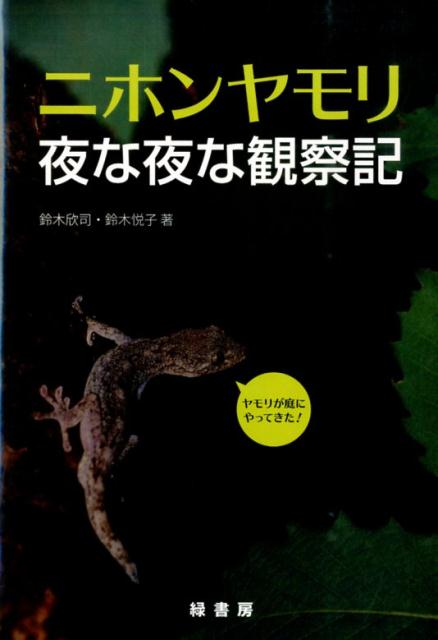 鈴木悦子  コスモス 鈴木悦子 コスモス