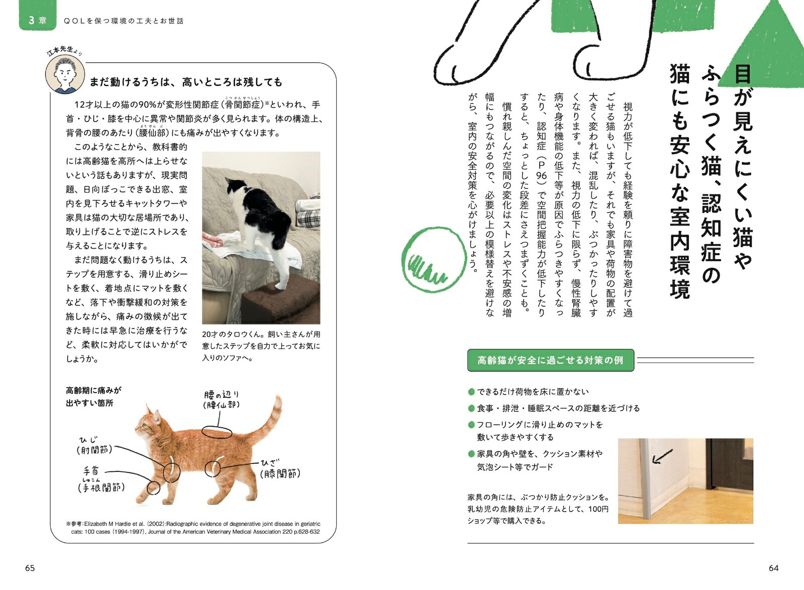 ǭ�β��ϥ�ɥ֥å�����������˴��ź�����¥����������ߥʥ륱�����Ǽ��[���ܹ�ʿ]