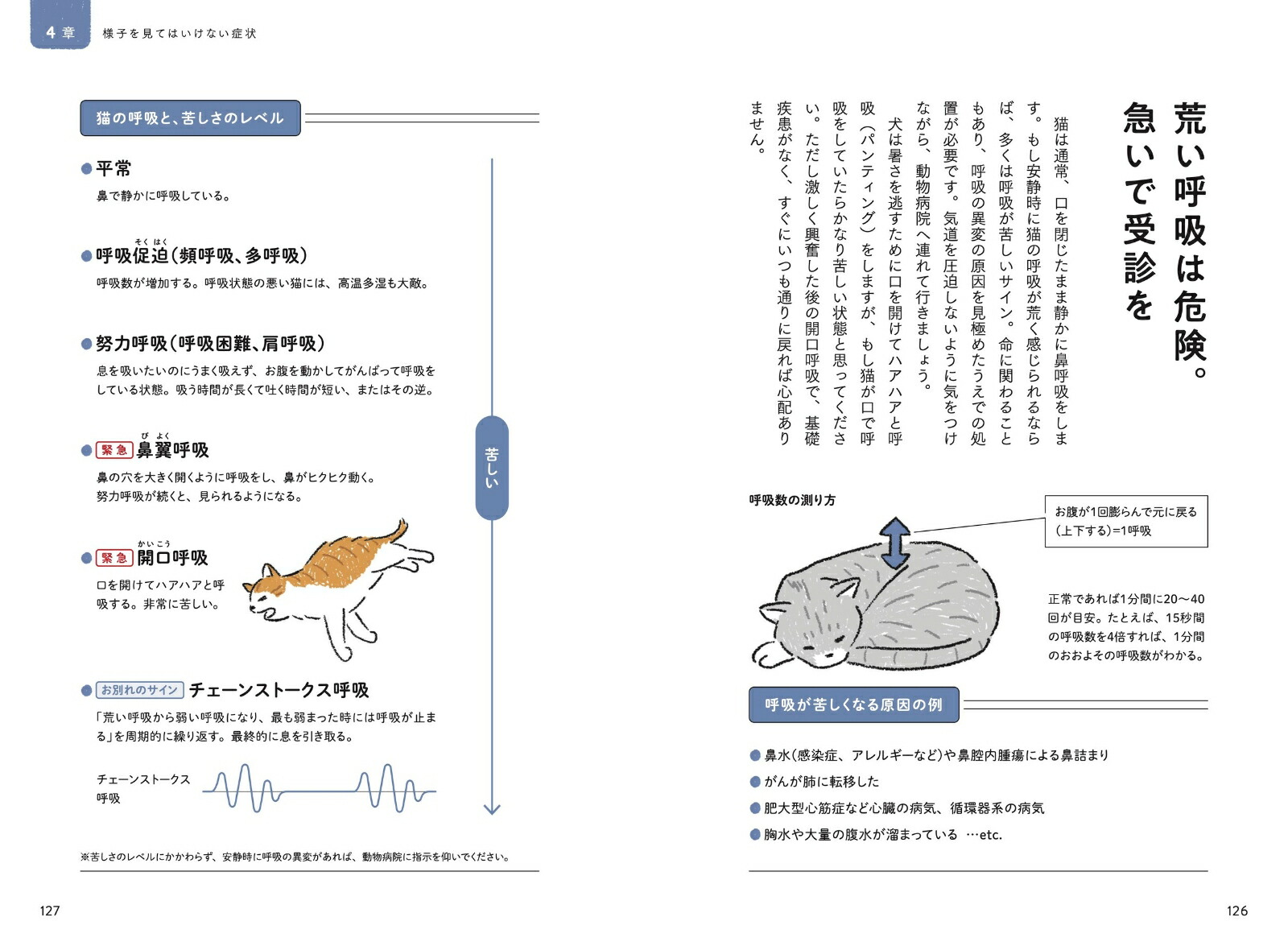 ǭ�β��ϥ�ɥ֥å�����������˴��ź�����¥����������ߥʥ륱�����Ǽ��[���ܹ�ʿ]