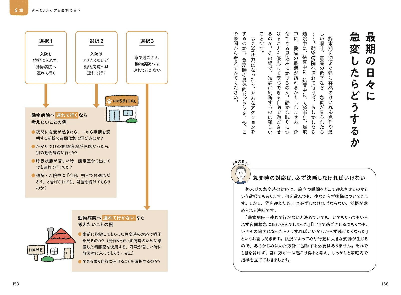 ǭ�β��ϥ�ɥ֥å�����������˴��ź�����¥����������ߥʥ륱�����Ǽ��[���ܹ�ʿ]