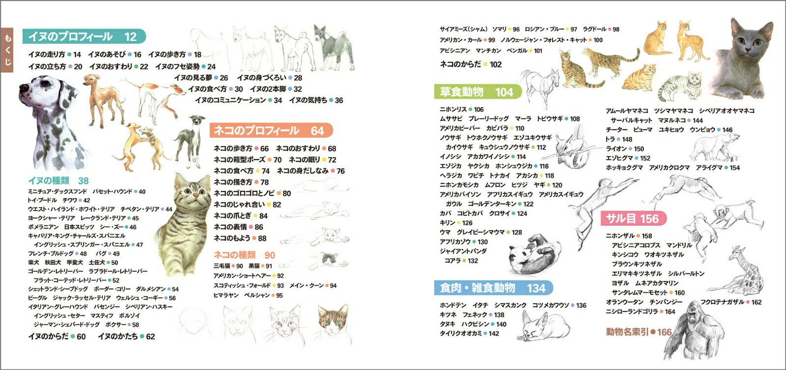 楽天ブックス 見てすぐ描ける動物スケッチ 視覚デザイン研究所 編集室 本