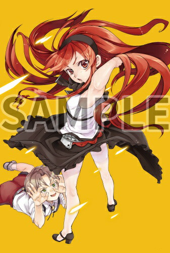 �ڥ��å��ۡ�̵��ž������������Ԥä����ܵ���������ץե�����楫���饹��B2���ڥ��ȥ꡼[̵��ž������������Ԥä����ܵ��������]