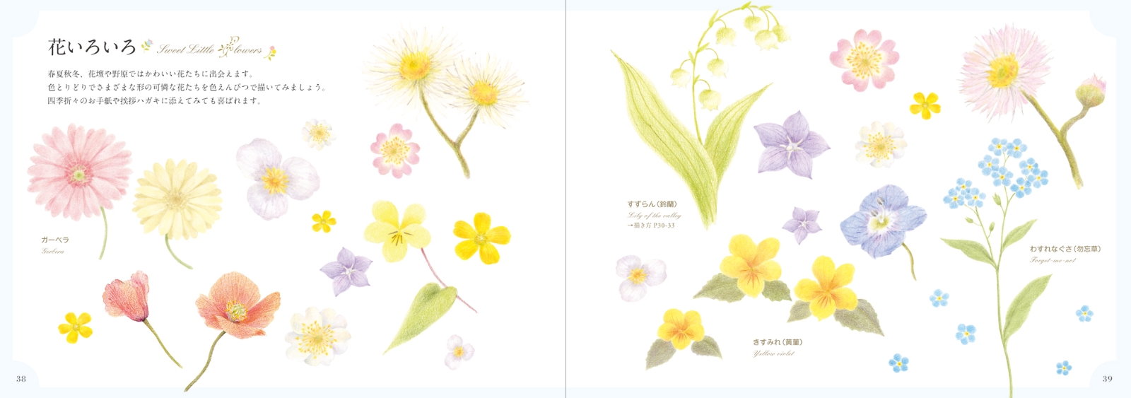 楽天ブックス 色えんぴつで描こう 小さな花とかわいい模様 田代 知子 本