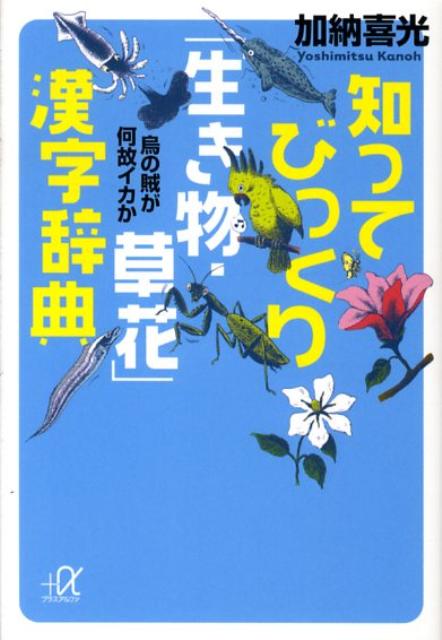 楽天ブックス 知ってびっくり 生き物 草花 漢字辞典 烏の賊が何故イカか 加納喜光 本