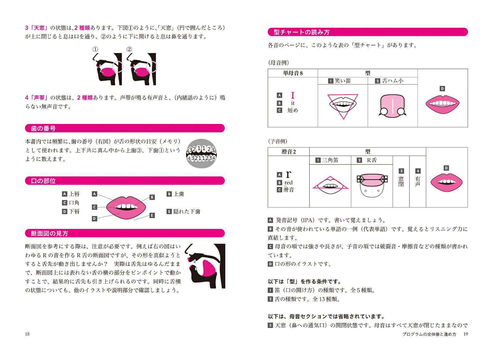 ニューヨーク発最強英語発音メソッド動画アクセスCDつき[モリヤマハルカ]