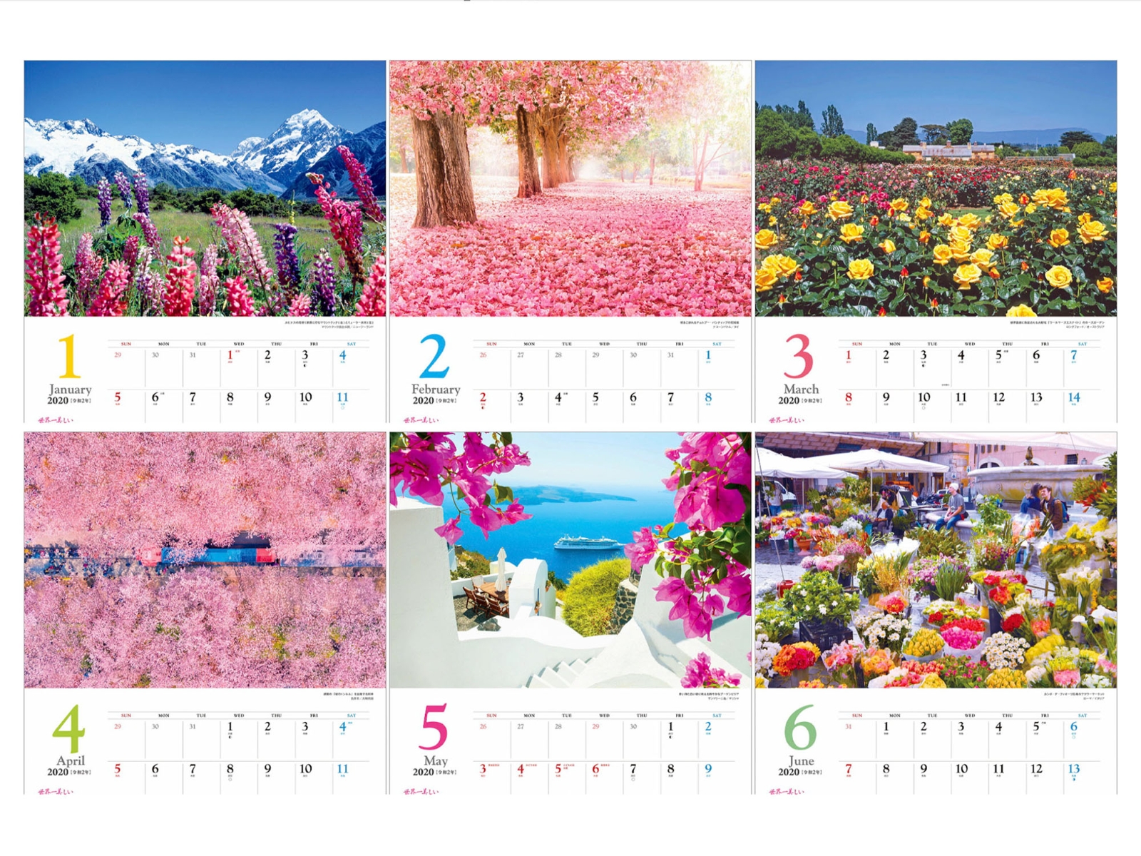 楽天ブックス 世界一美しい花風景を散歩するカレンダー 写真工房カレンダー 本