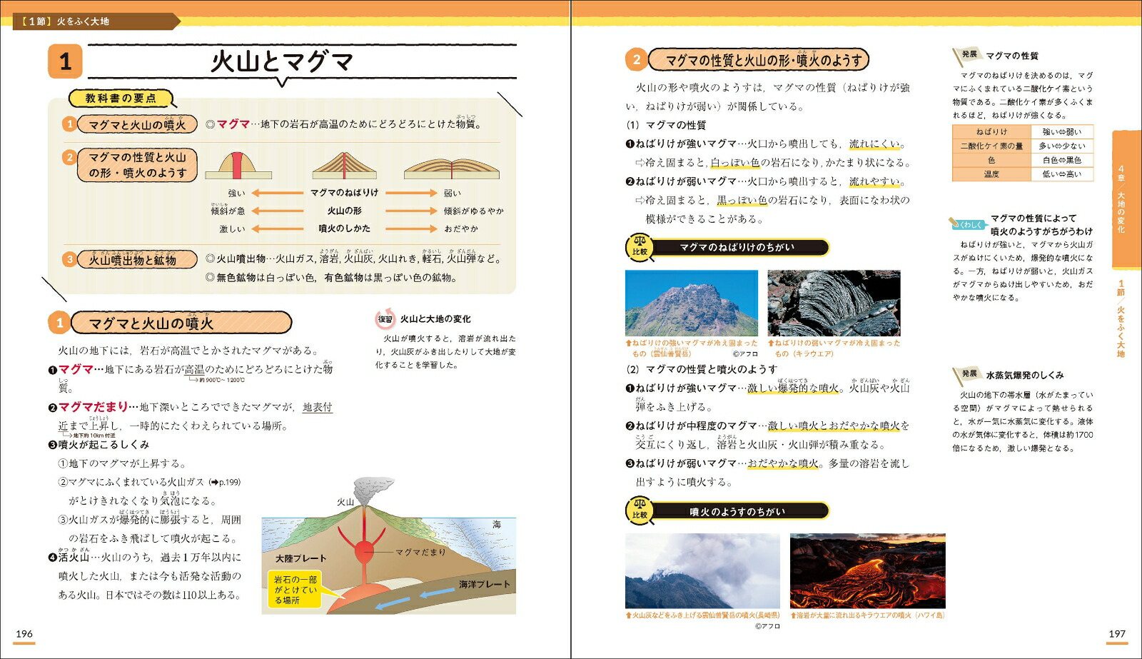 楽天ブックス ニューコース参考書 中1理科 学研プラス 本