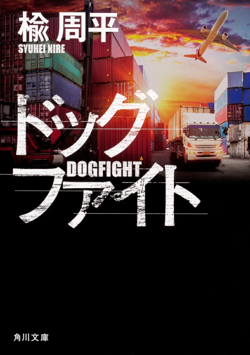 ドッグファイト画像