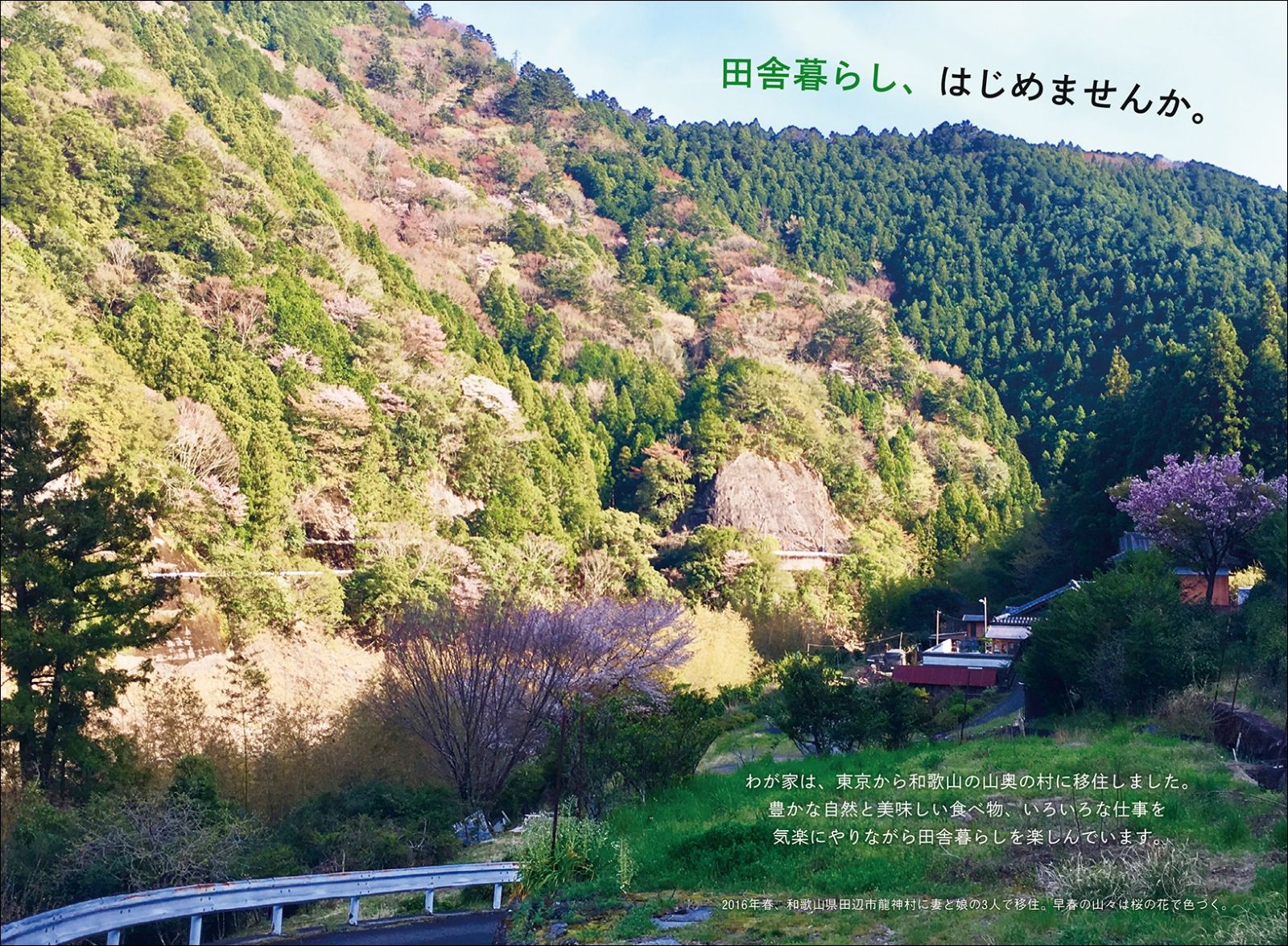子育て世代のための快適移住マニュアル知っておきたい、田舎でできる仕事・お金・子育て・地域のおつきあい[金丸知弘]