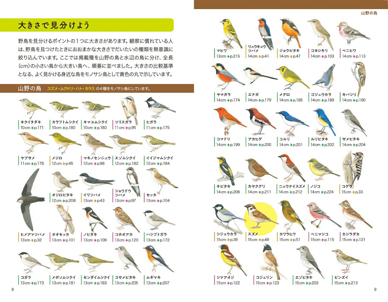 楽天ブックス: 新分類改訂版 野鳥図鑑 - 街・野山・水辺で見かける - 樋口 広芳 - 9784537222104 : 本