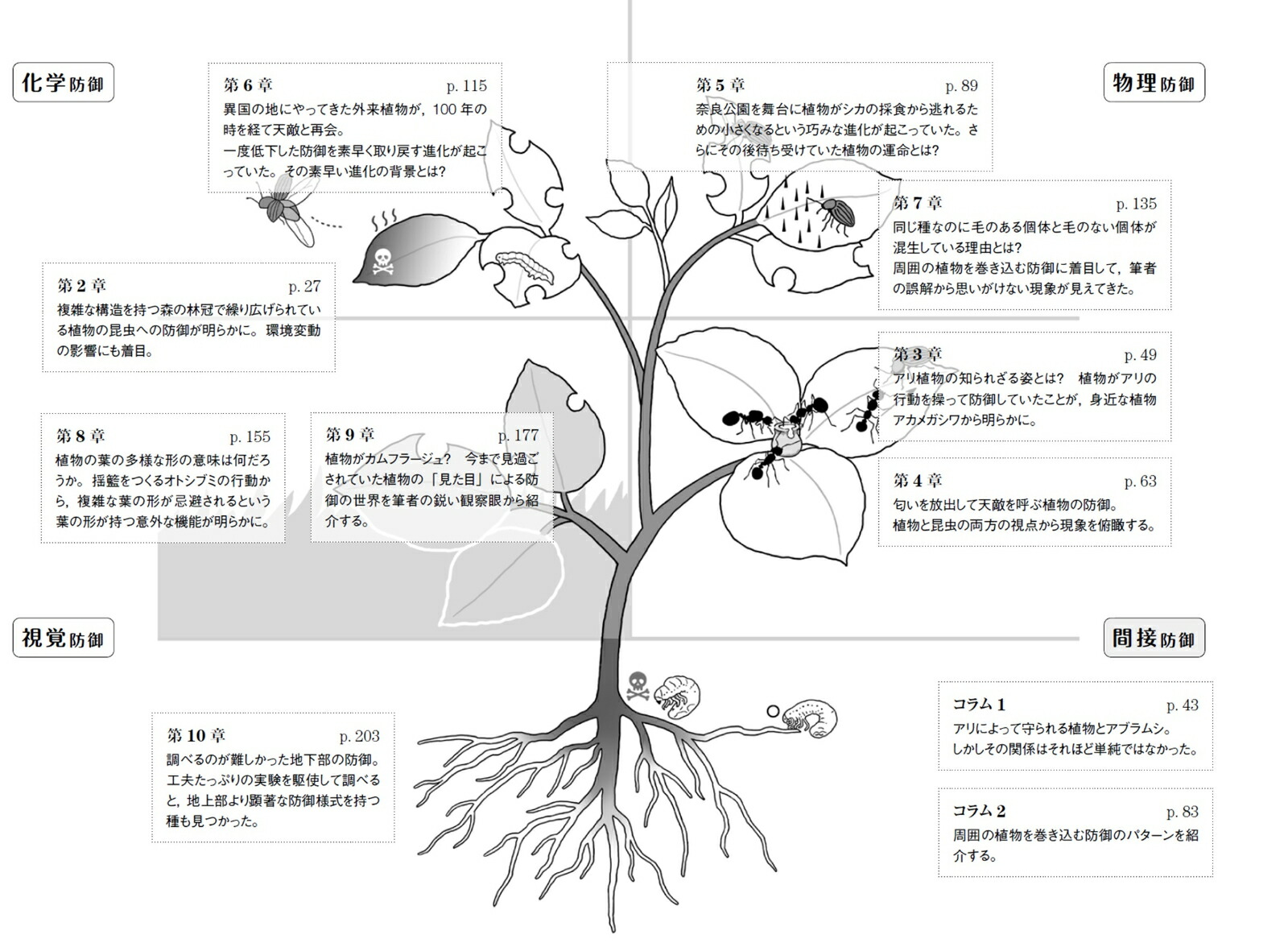 ʪθȽ￩ɸֳءʼʪإ꡼[ʪز]