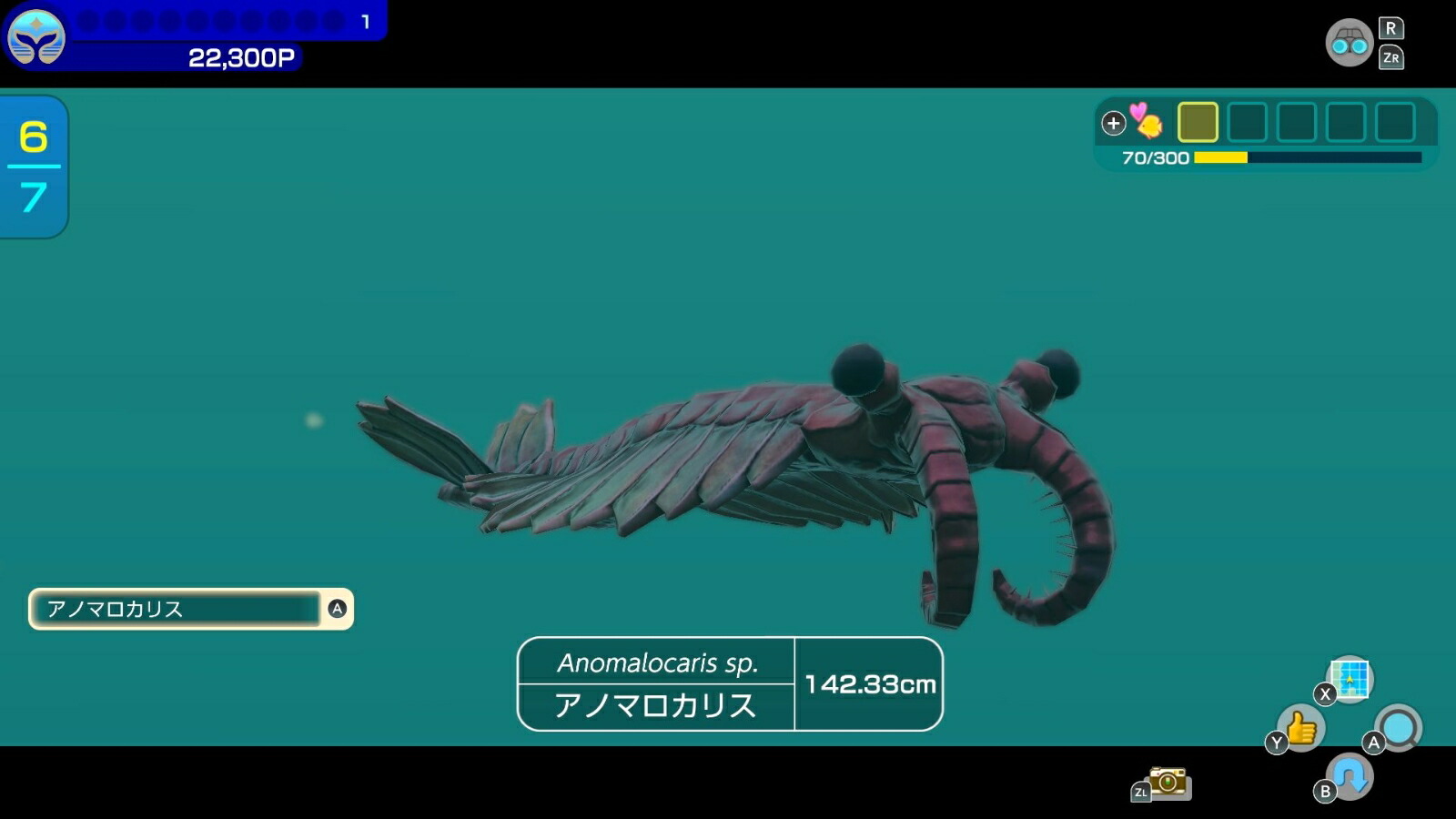 �ե������С��֥롼��ߥʥ�