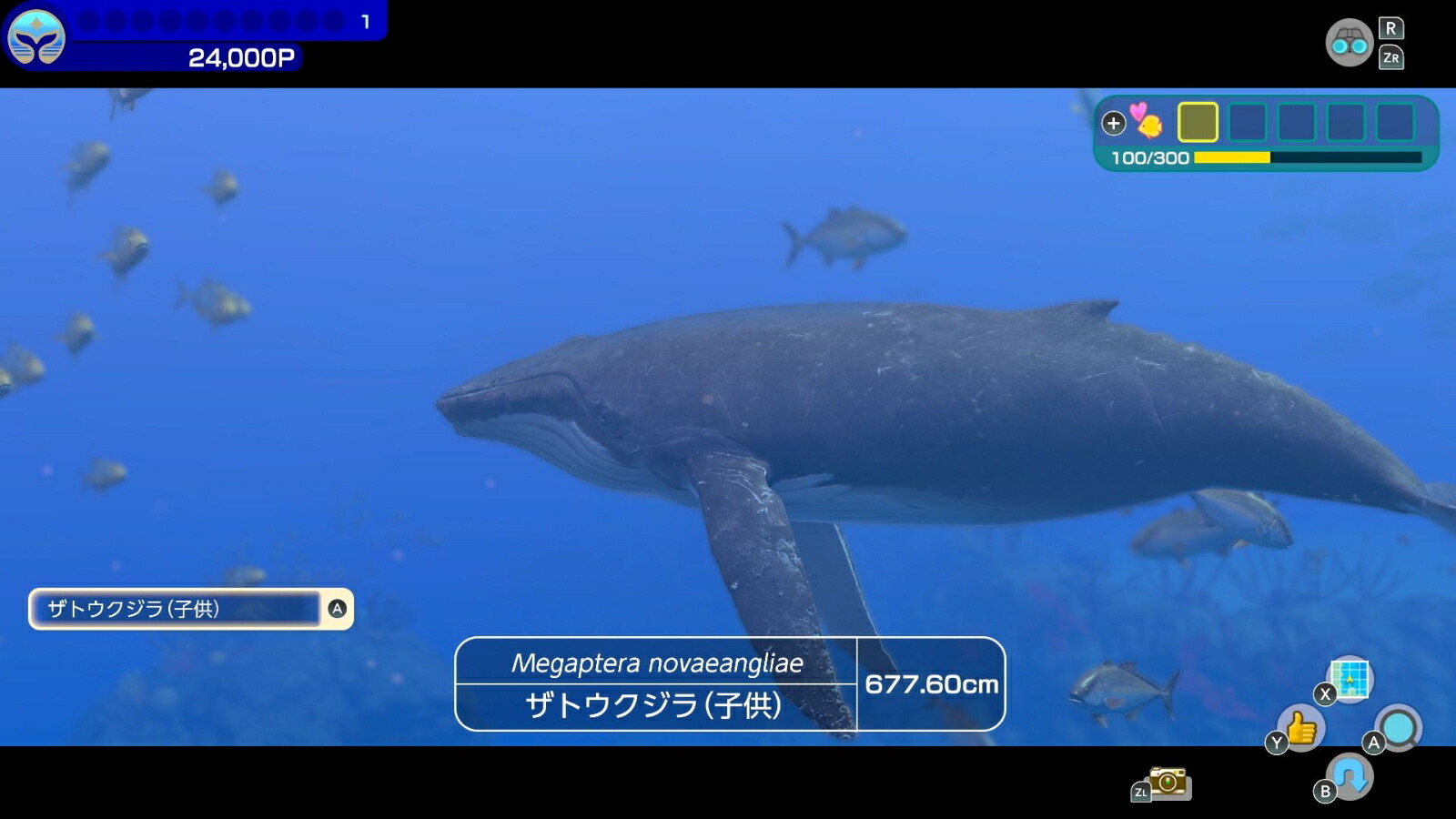 �ե������С��֥롼��ߥʥ�