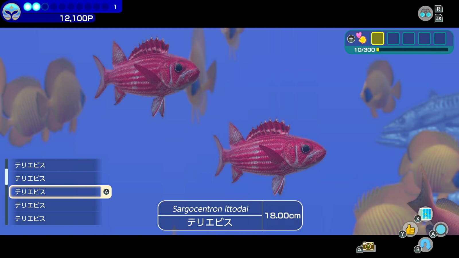 �ե������С��֥롼��ߥʥ�