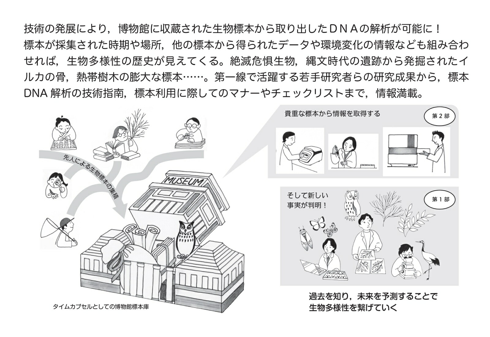 タイムカプセルの開き方博物館標本が紬ぐ生物多様性の過去・現在・未来（種生物学シリーズ）[種生物学会]