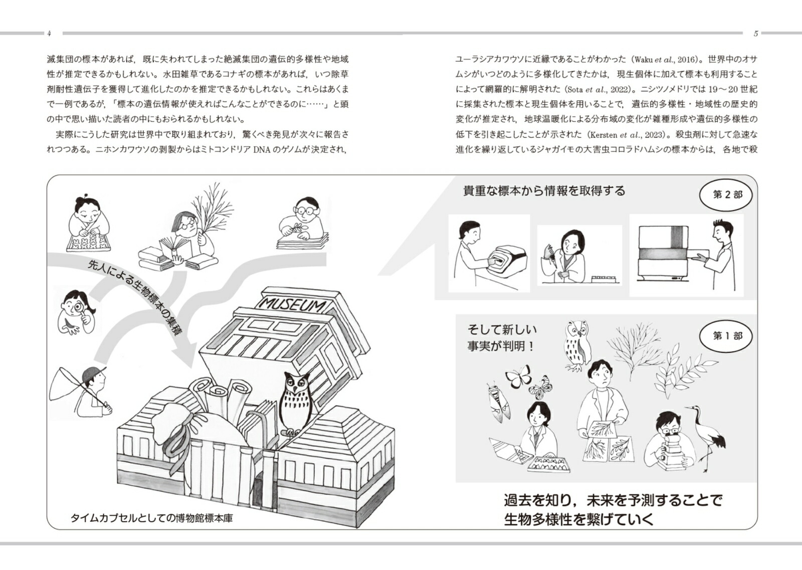 タイムカプセルの開き方博物館標本が紬ぐ生物多様性の過去・現在・未来（種生物学シリーズ）[種生物学会]
