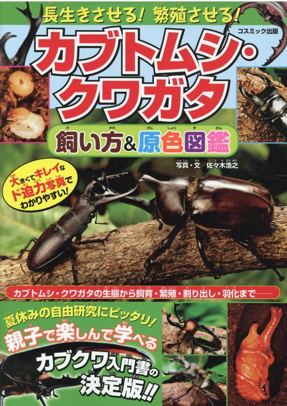 楽天ブックス: 長生きさせる！繁殖させる！カブトムシ・クワガタ飼い方