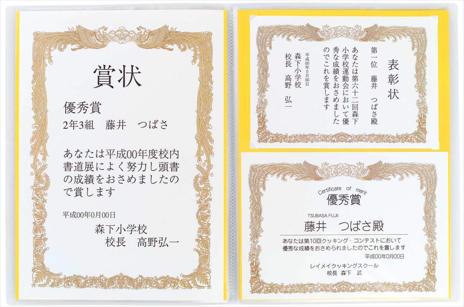 �쥤�ᥤƣ��޾��ե�����A3�֥롼LSB101A�޾��ե������ʸ��(Stationary)��