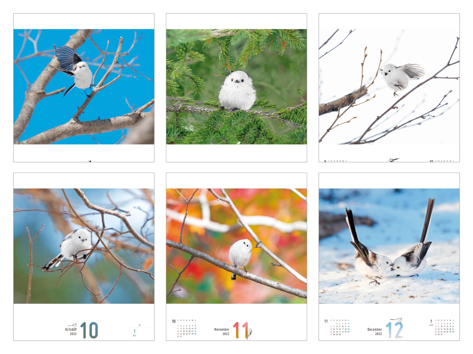 まんまるかわいい雪の妖精 シマエナガちゃん Calendar 22 インプレスカレンダー22 小原 玲