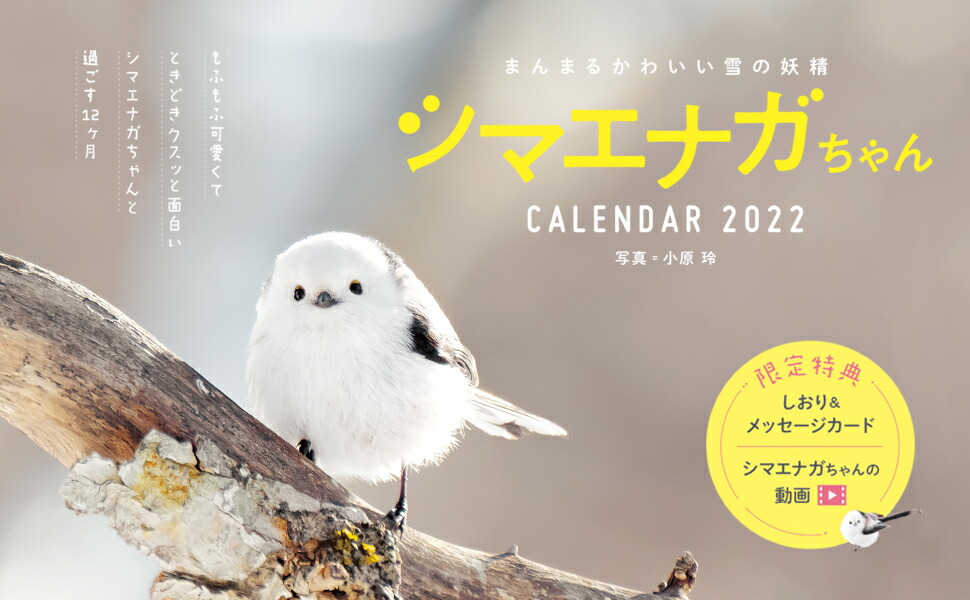 楽天ブックス まんまるかわいい雪の妖精シマエナガちゃんcalendar 22 本