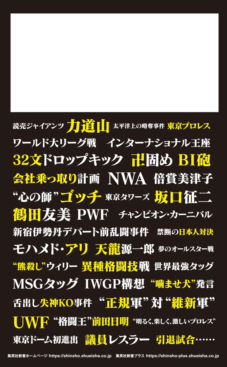 猪木と馬場（集英社新書）[斎藤文彦]