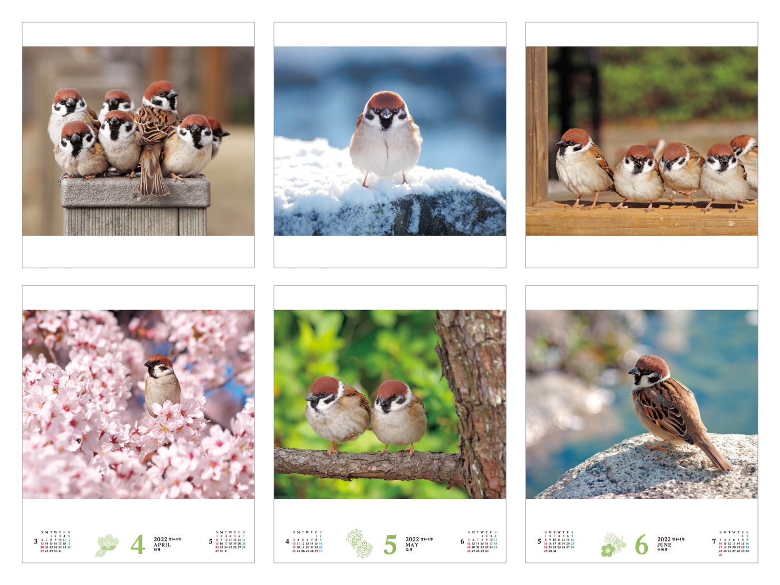 楽天ブックス 楽天ブックス限定特典 すずめ暮らしcalendar 22 特典データ 中野さとる氏撮影 Pc壁紙 バーチャル背景に使える可愛いすずめ画像 本