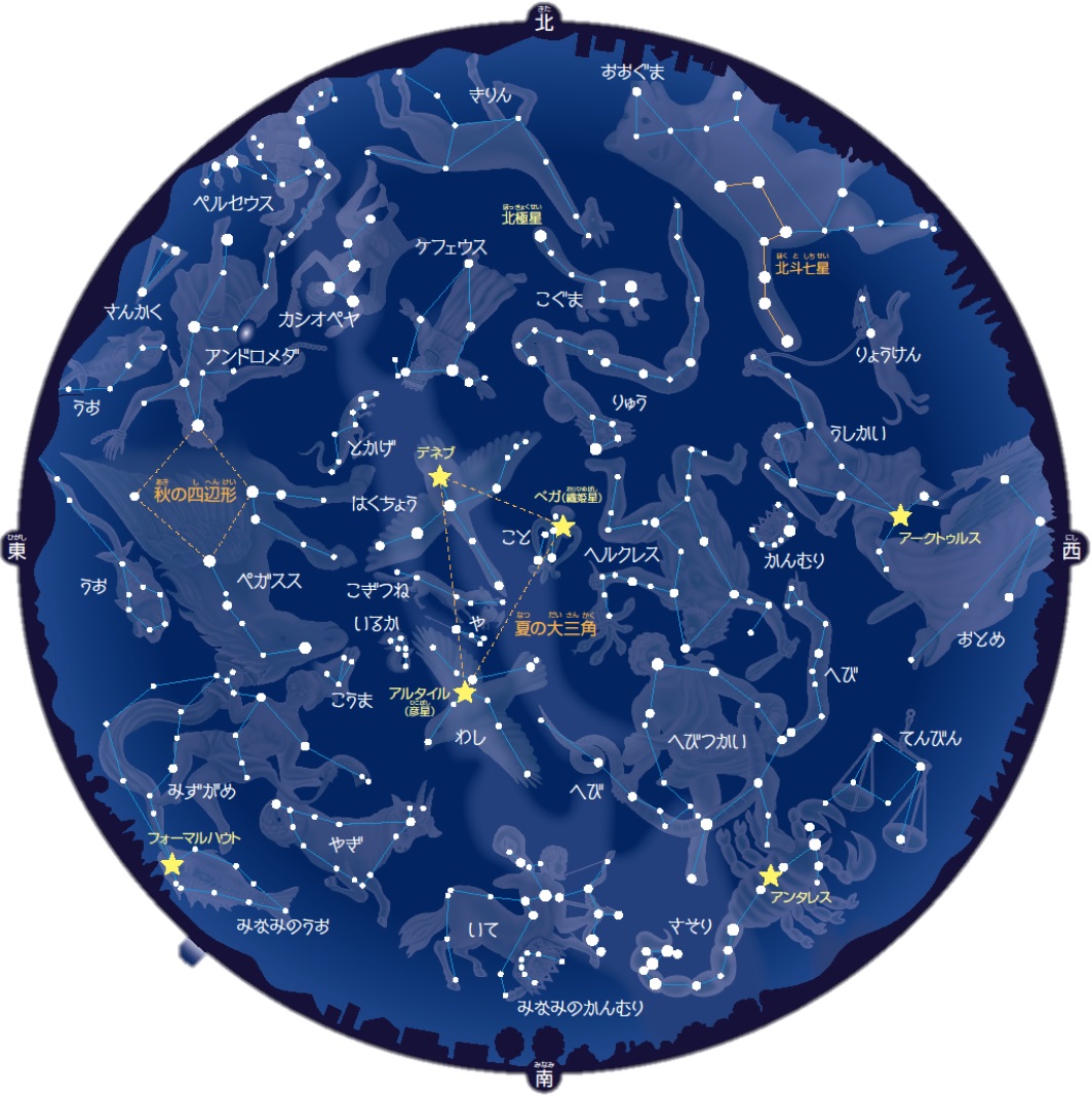 楽天ブックス 大きな天体図で見やすい光る 星と星座 本