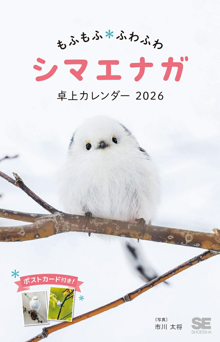 楽天市場】クリスマスカード 立体 シマエナガツリー柄 108995 [M便 1/4