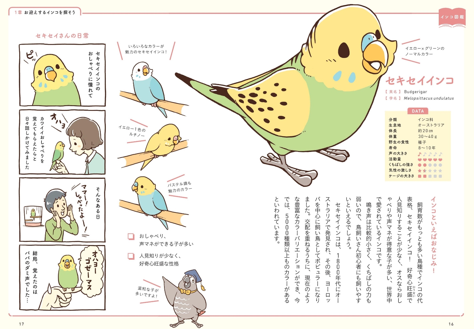 楽天ブックス Birdstoryのインコの飼い方図鑑 寄崎まりを 本