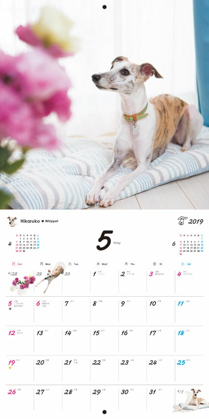 うちのワンコ。壁掛カレンダー（［カレンダー］）