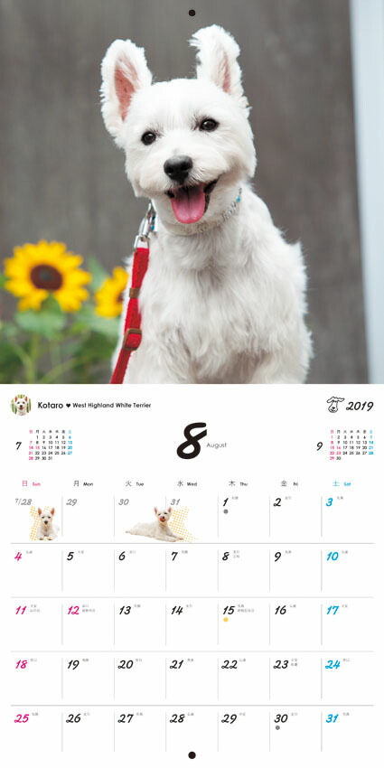 うちのワンコ。壁掛カレンダー（［カレンダー］）