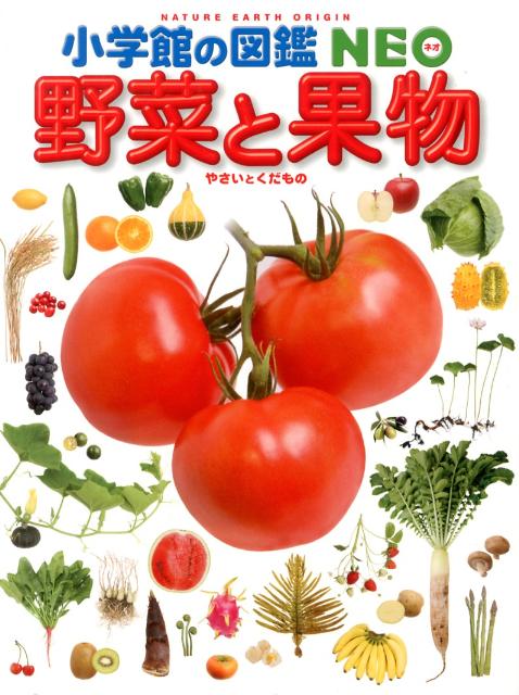 楽天ブックス 小学館の図鑑 Neo 野菜と果物 板木 利隆 本