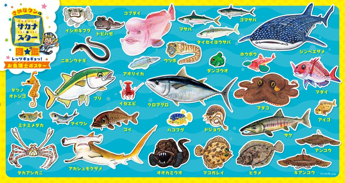 楽天ブックス: さかなクンのギョギョッとサカナ★スター図鑑3 - さかなクン - 9784065362204 : 本