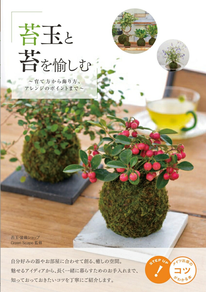 楽天ブックス アレンジを愉しむ 苔玉と苔の本 育て方から作り方 飾り方まで 新版 Green Scape 本