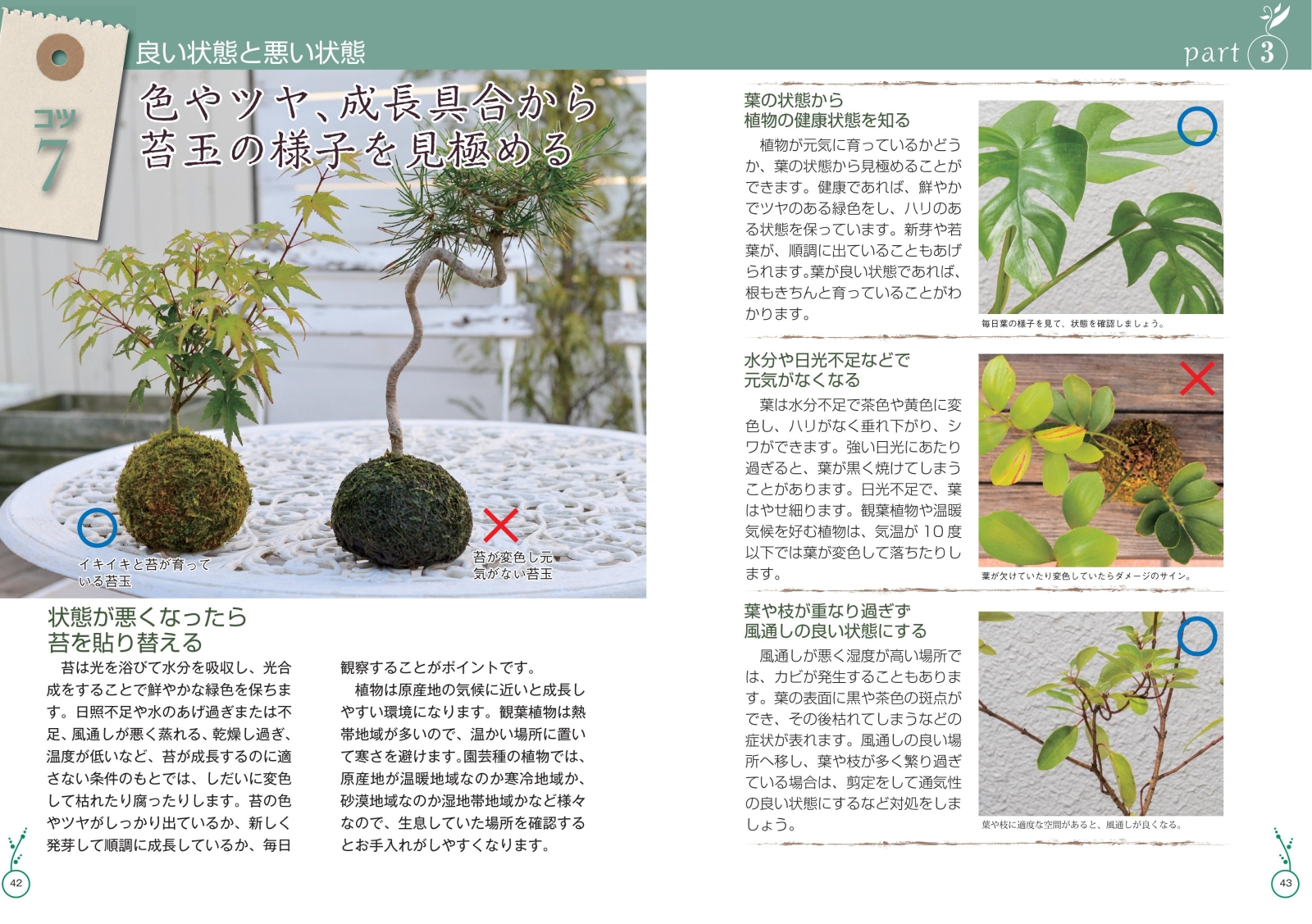 楽天ブックス アレンジを愉しむ 苔玉と苔の本 育て方から作り方 飾り方まで 新版 Green Scape 本