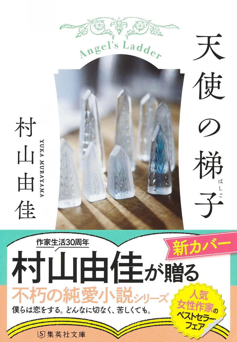 天使の梯子（集英社文庫(日本)）[村山由佳]