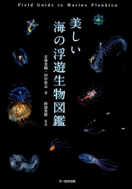 楽天ブックス 美しい海の浮遊生物図鑑 若林香織 本