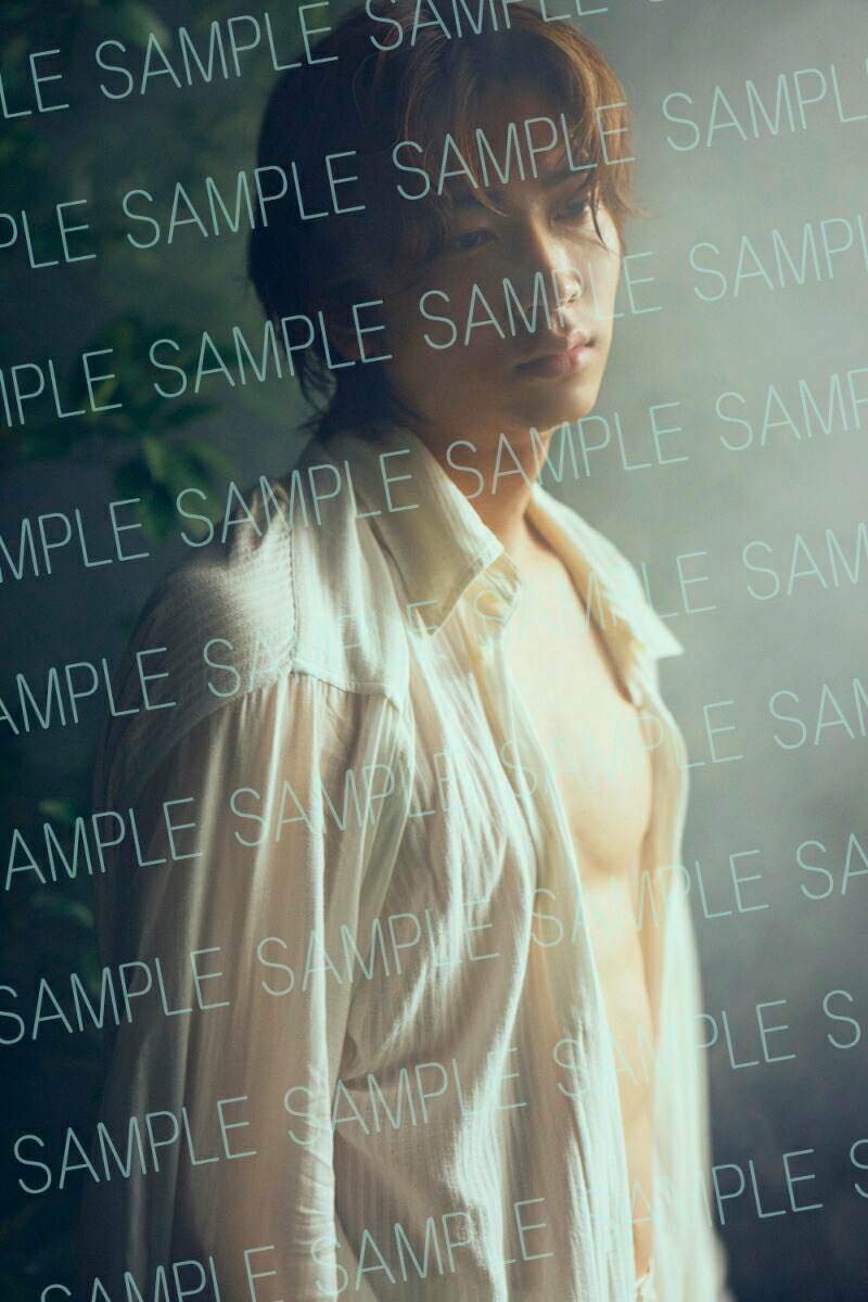 ڳŷ֥åŵ۾ʹʿ̿顢ܤ(ž̥)[ʹʿ]