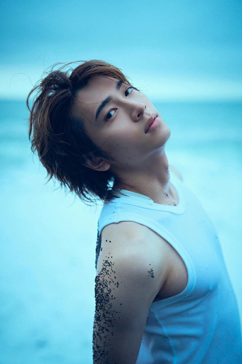 ڳŷ֥åŵ۾ʹʿ̿顢ܤ(ž̥)[ʹʿ]