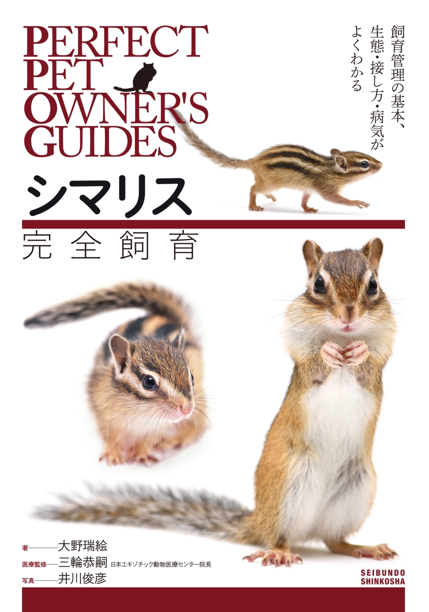 シマリス 吊看板! - 小動物用品