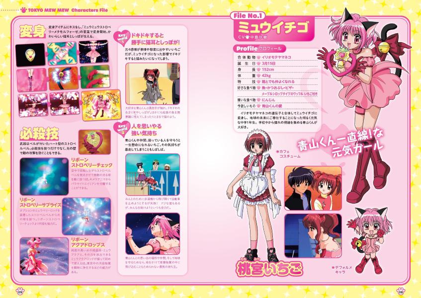 東京ミュウミュウ にゅ～ 公式ビジュアルブック 別冊付録TVアニメ