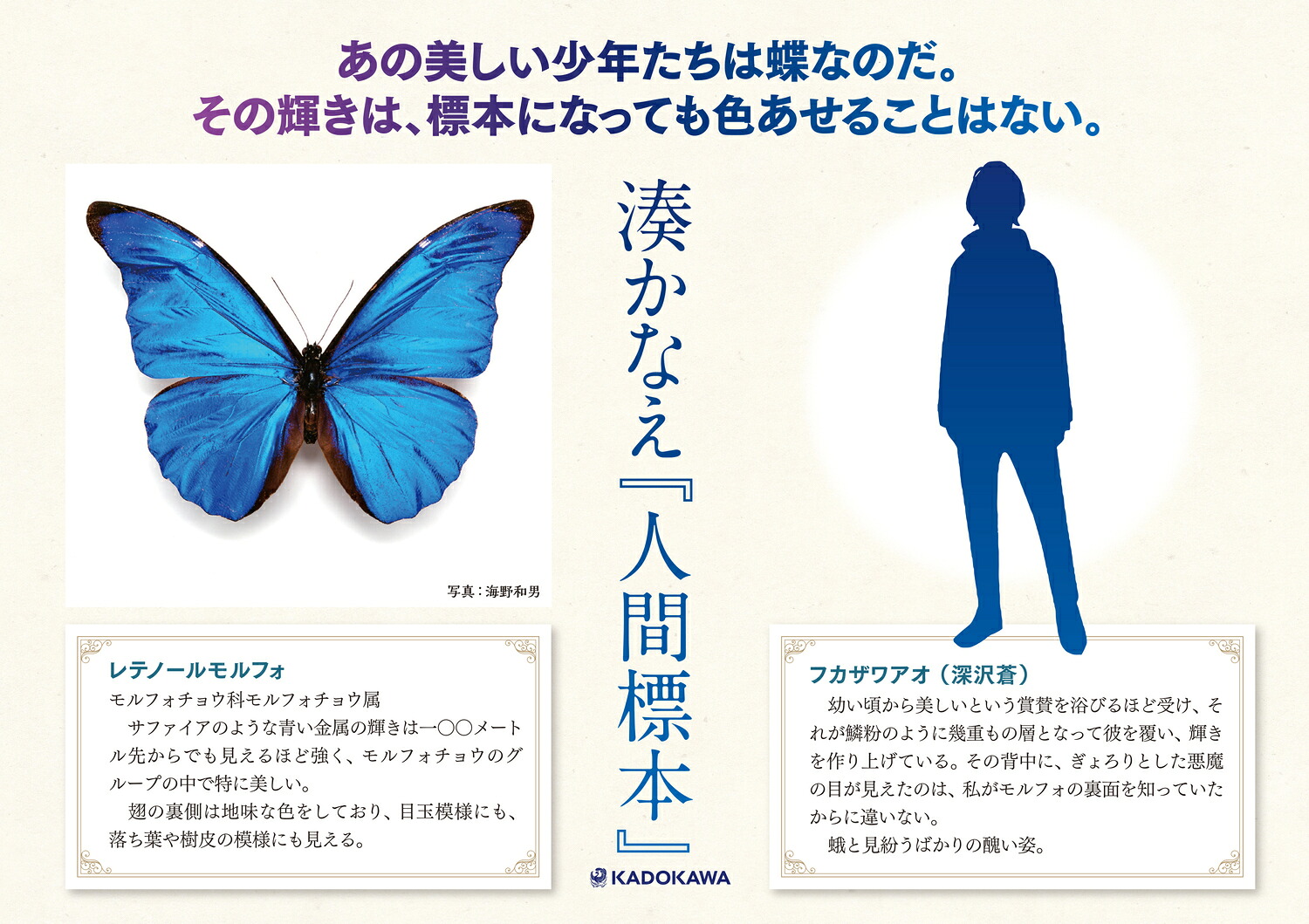 楽天ブックス: 人間標本 - 湊 かなえ - 9784041142233 : 本