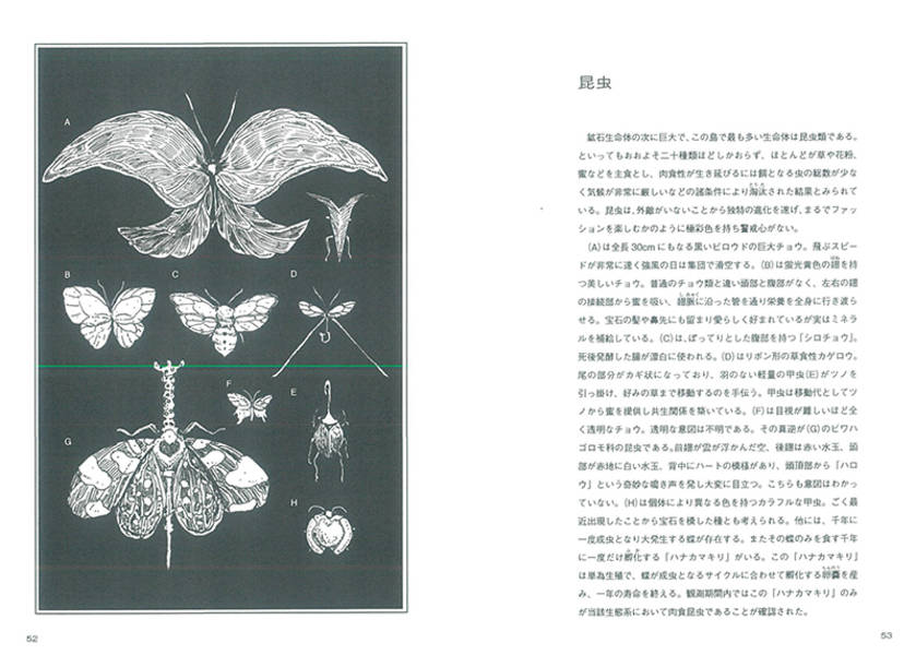 宝石の国（11）特装版（プレミアムKC）[市川春子]