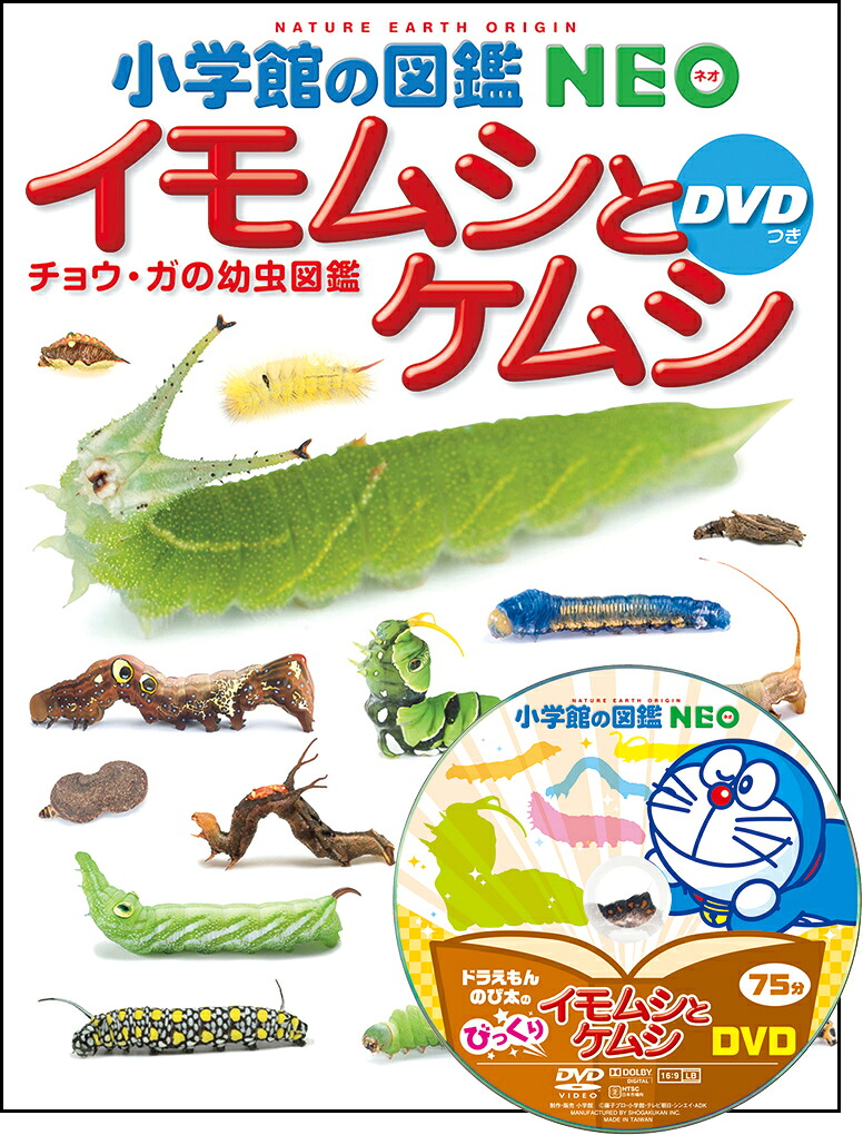 小学館の図鑑NEOイモムシとケムシDVDつきチョウ・ガの幼虫図鑑[鈴木知之]