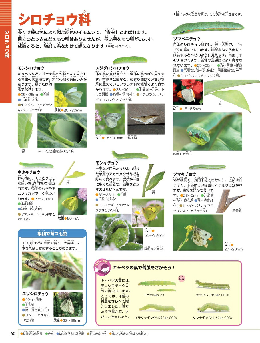 小学館の図鑑NEOイモムシとケムシDVDつきチョウ・ガの幼虫図鑑[鈴木知之]