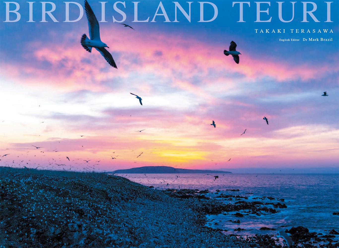 BIRD ISLAND TEURI画像
