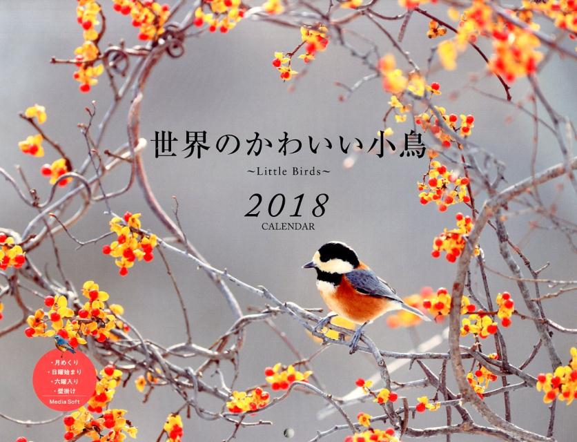 楽天ブックス 世界のかわいい小鳥 Little Birds Calendar 2018 9784879192240 本