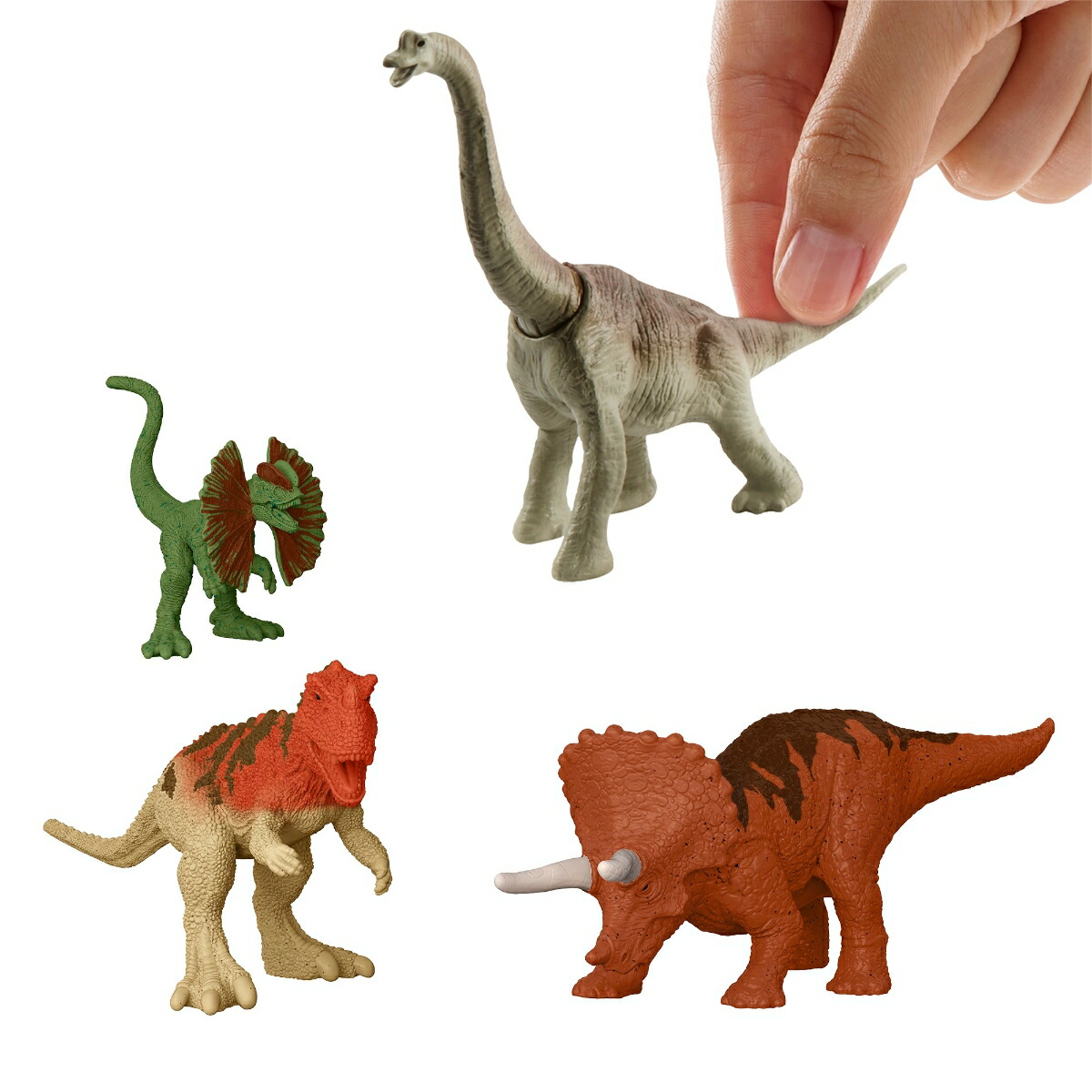 ޥƥ른饷å(JURASSICWORLD)饷åѡ30ǯɥ٥ȡڶεۡڥߥ˥ե奢ȥѡ30ۡ3~HTK45