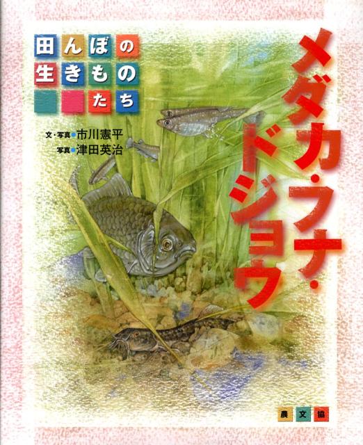 楽天ブックス メダカ フナ ドジョウ 市川憲平 本